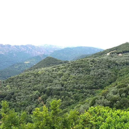 Le Petit Nid D'amour Meuble Tourisme 3 Etoiles Poggio 아파트 *