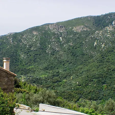 Le Petit Nid D'amour Meublé Tourisme 3 étoiles Poggio Appartement