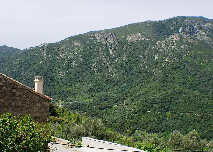 Le Petit Nid D'amour Meuble Tourisme 3 Etoiles Poggio Апартаменты