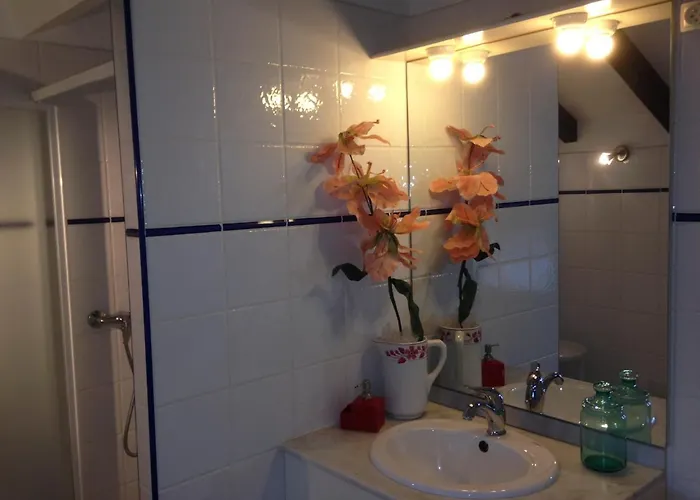 Le Petit Nid D'amour Meuble Tourisme 3 Etoiles Poggio *