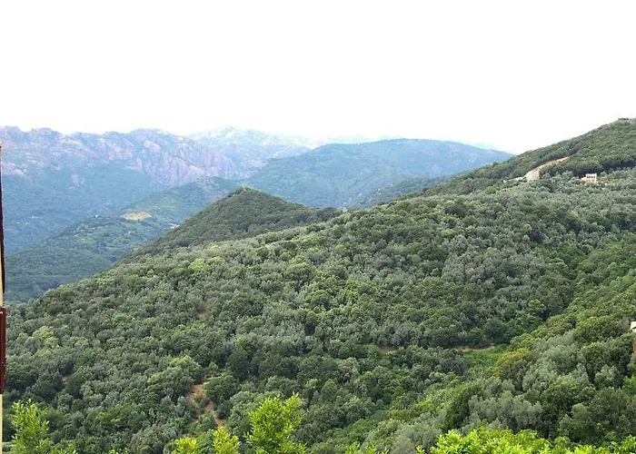 Le Petit Nid D'amour Meuble Tourisme 3 Etoiles Poggio Апартаменты *